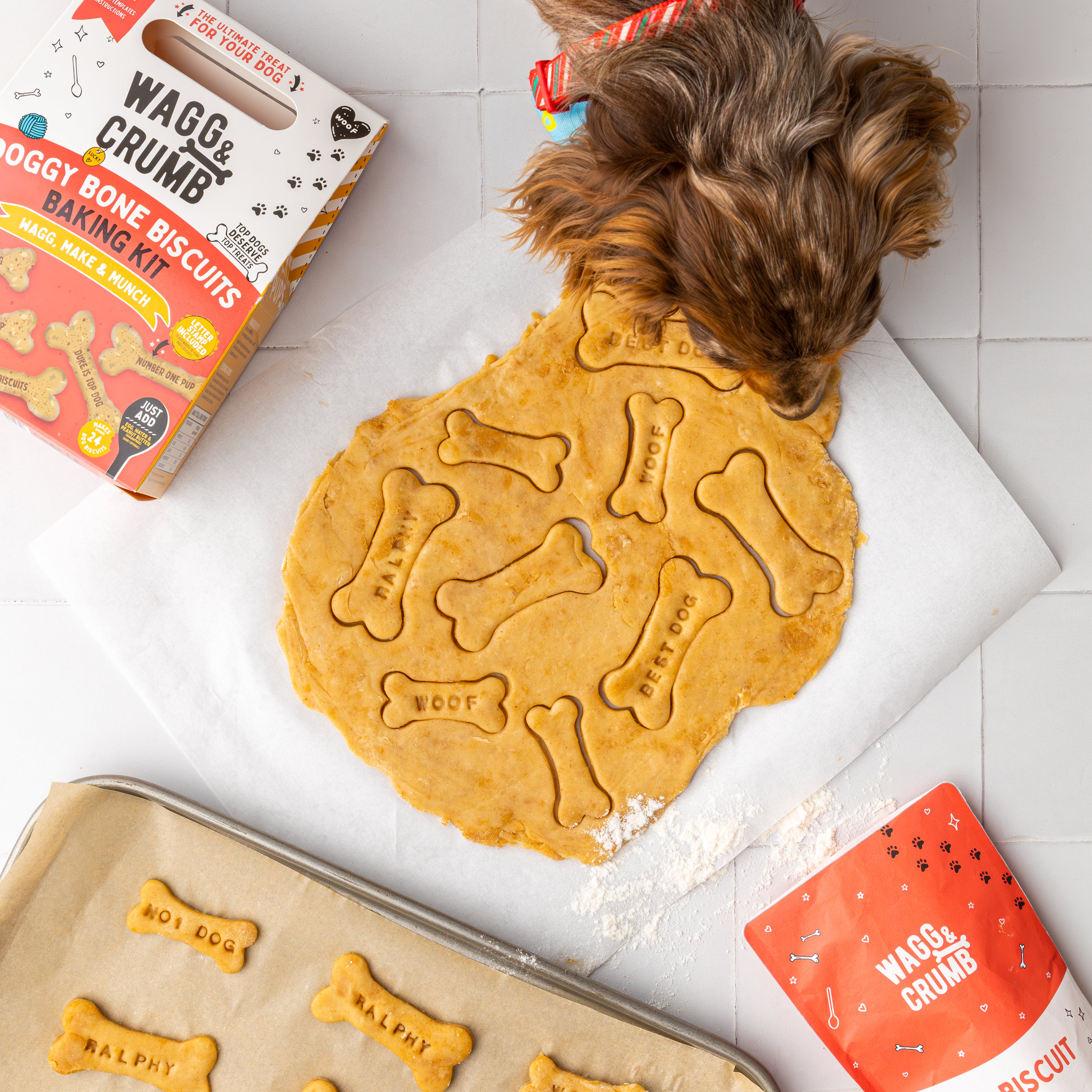 Dog sniffing dough with bone-shaped cookie cutouts on a kitchen counter, surrounded by baking supplies.