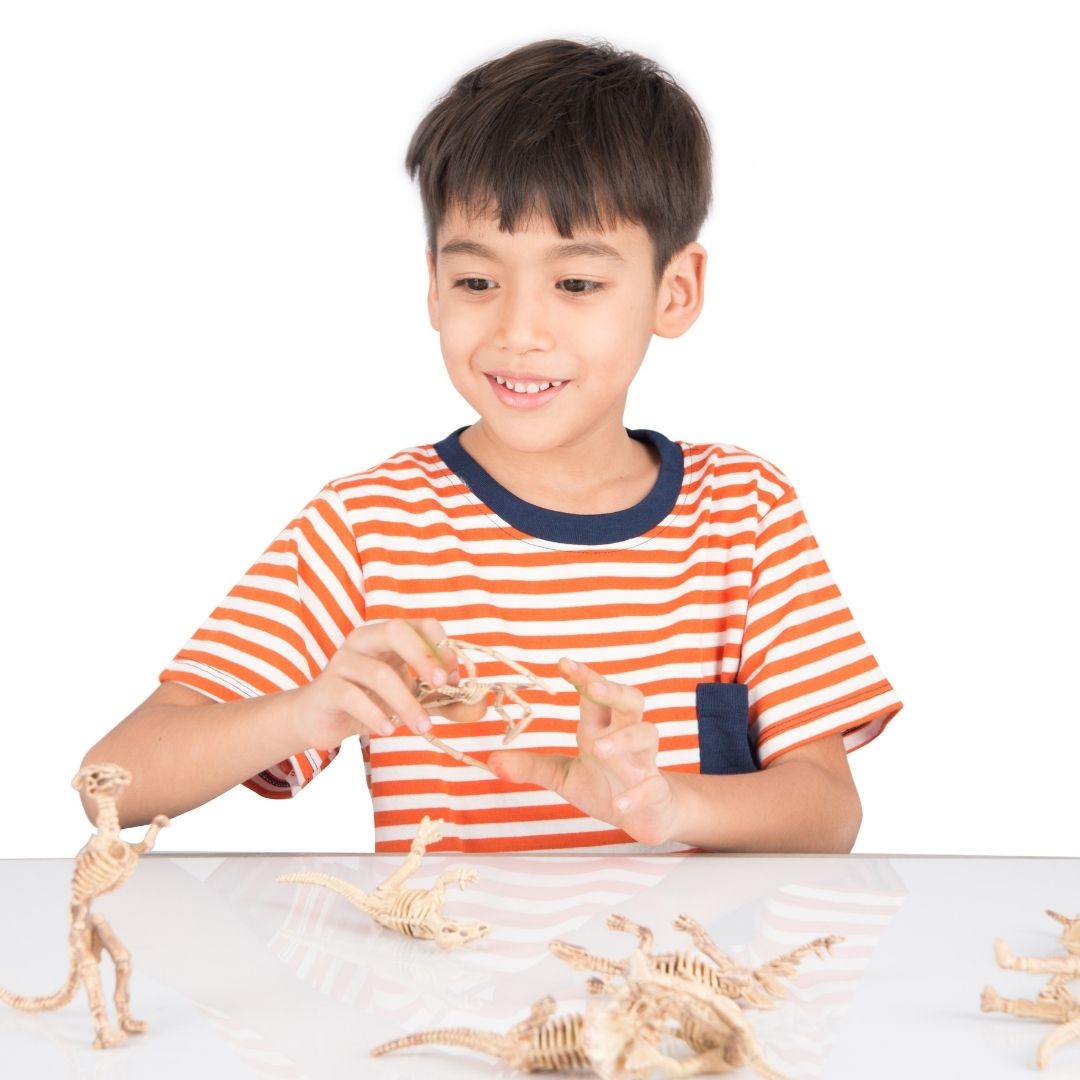 Make your own Dinosaur Fossil Dig – Craft & Crumb