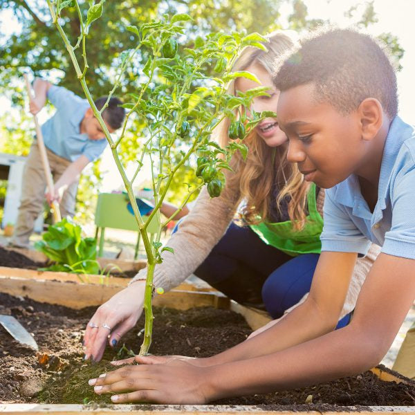 Summer activities for kids