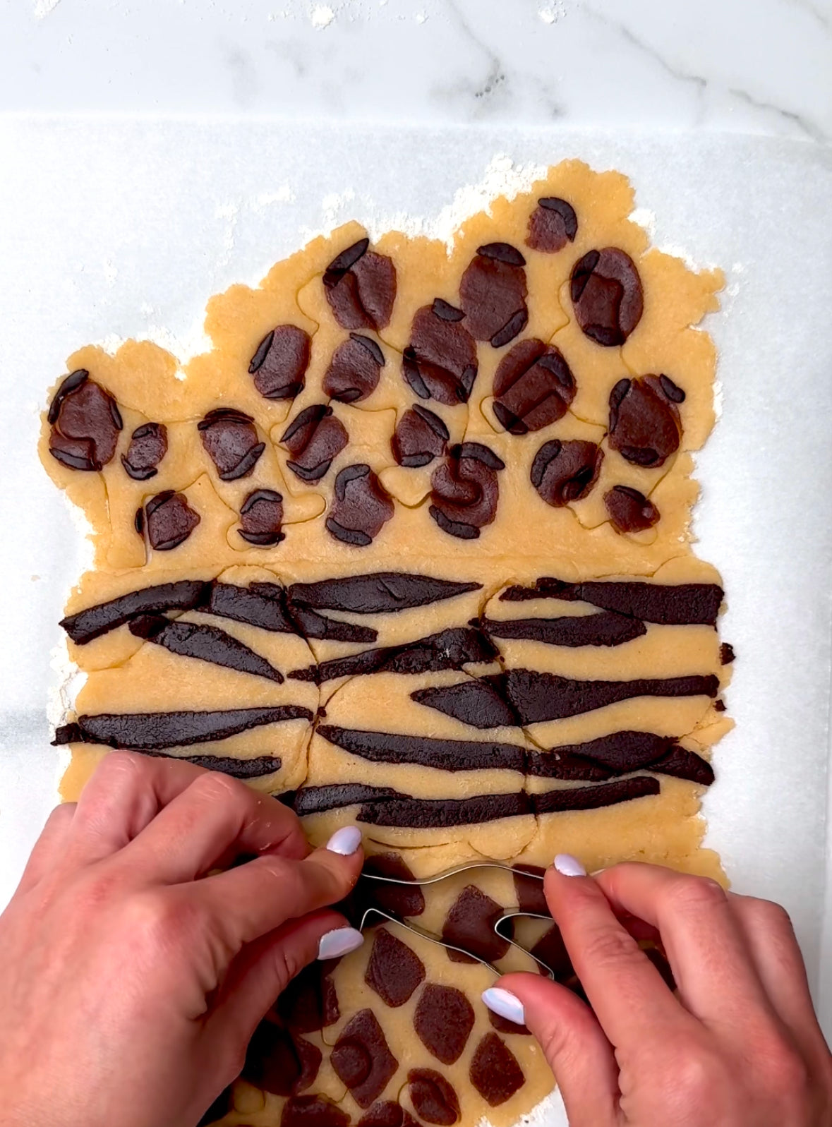 BE WILD BAKING KIT TUTORIAL