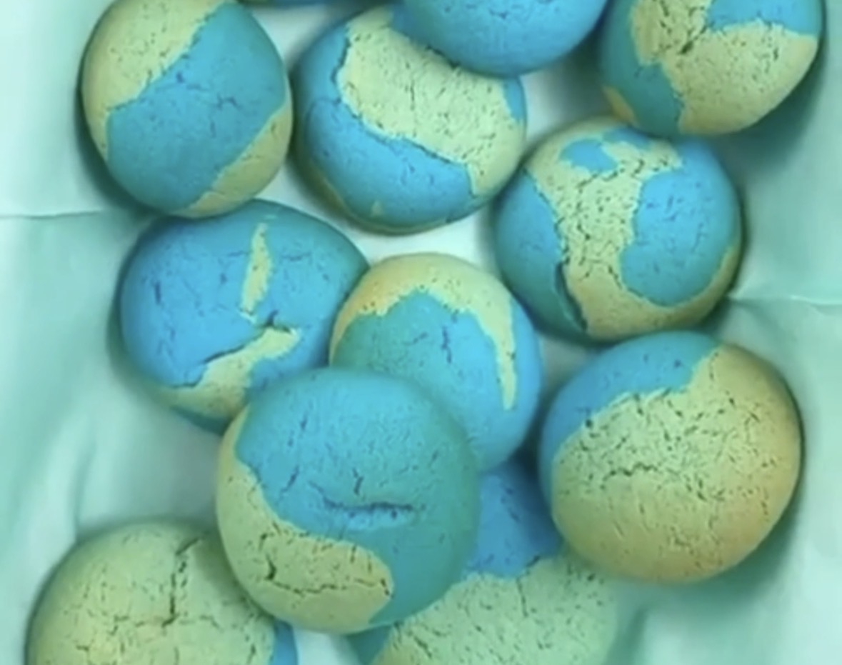 Earth day biscuits 🍪 🌍