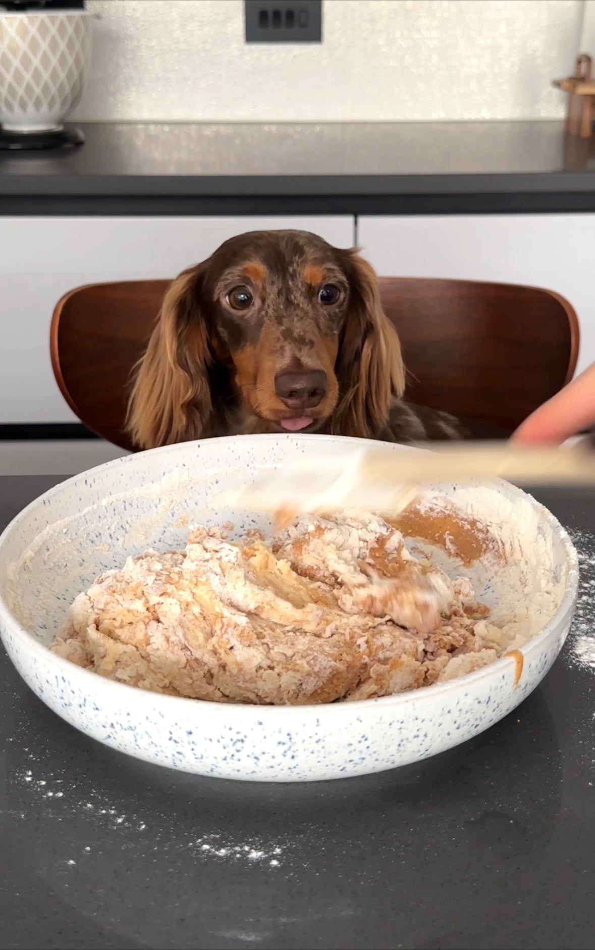 Alternative recipes for Doggy bone biscuits