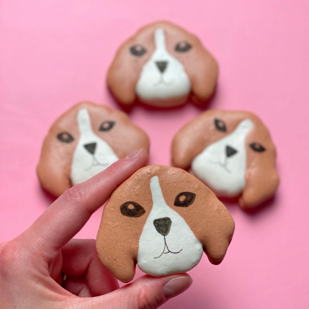 Creative Macarons