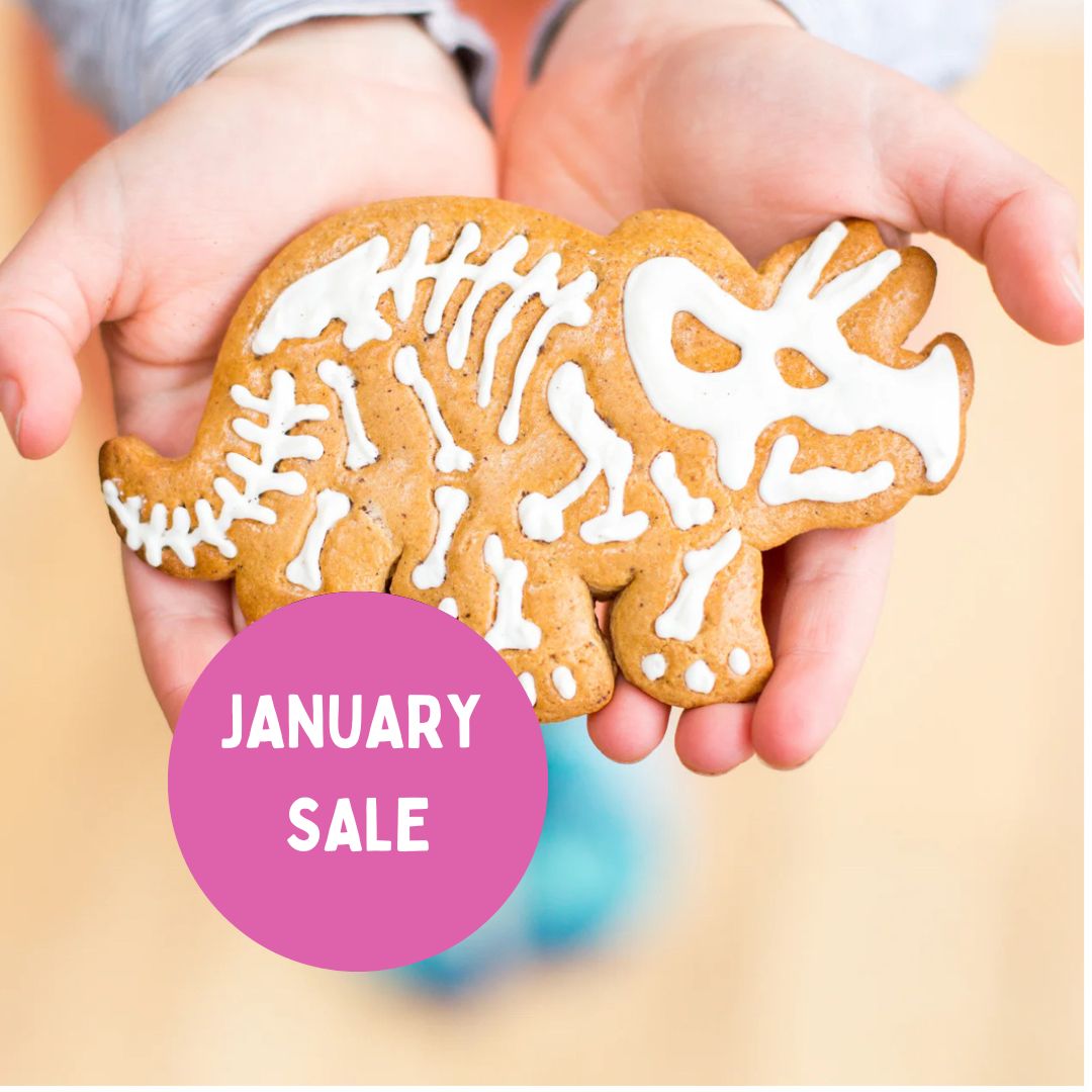 JANUARY SALE