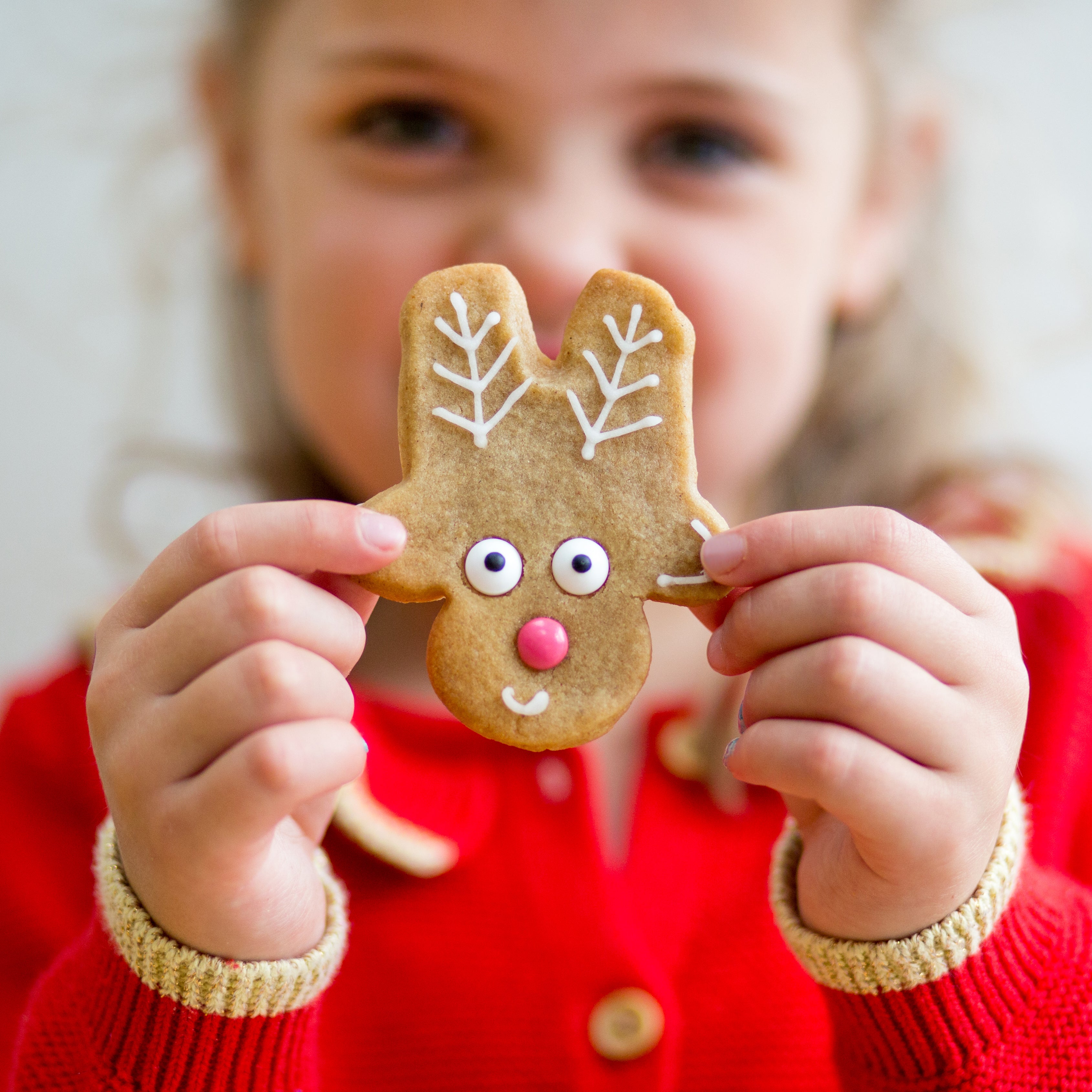 Child holding a reindeer-shaped cookie with icing details, wearing a red sweater.