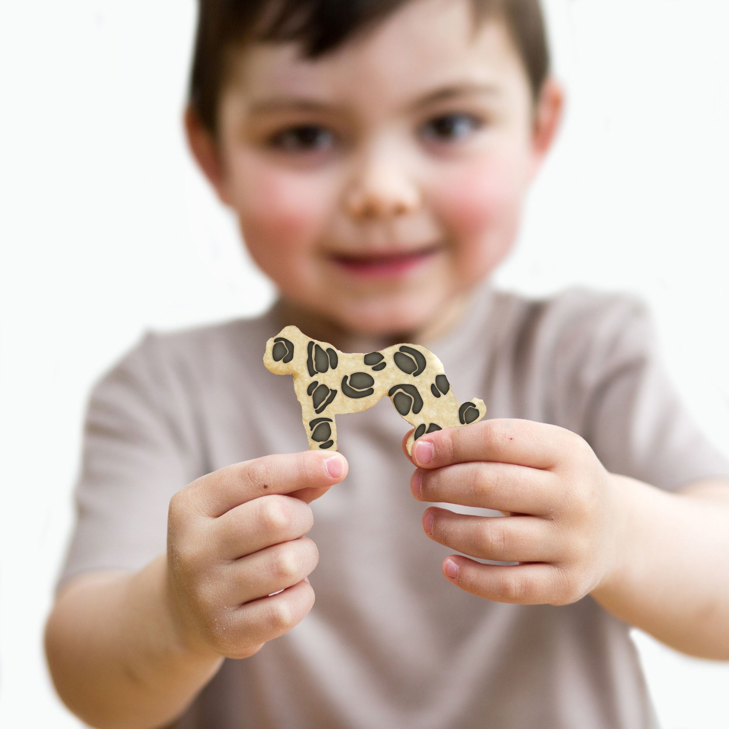 Child holding a safari leopard biscuit with black spots, smiling at the camera.