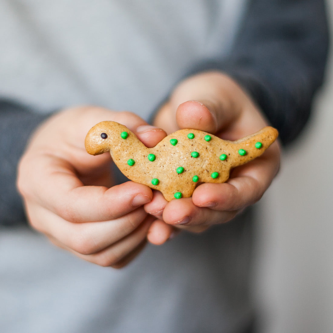 Homemade Dinosaur Biscuits